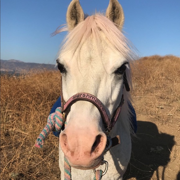 Meet your Posher, Julianna - Picture 2 of 2